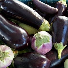 MELANZANE