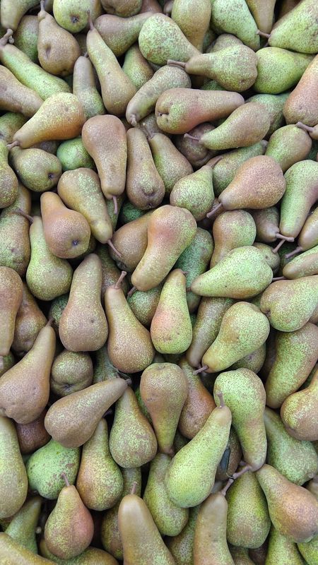 PERE ABATE - 0,50kg PERE ABATE - 0,50kg