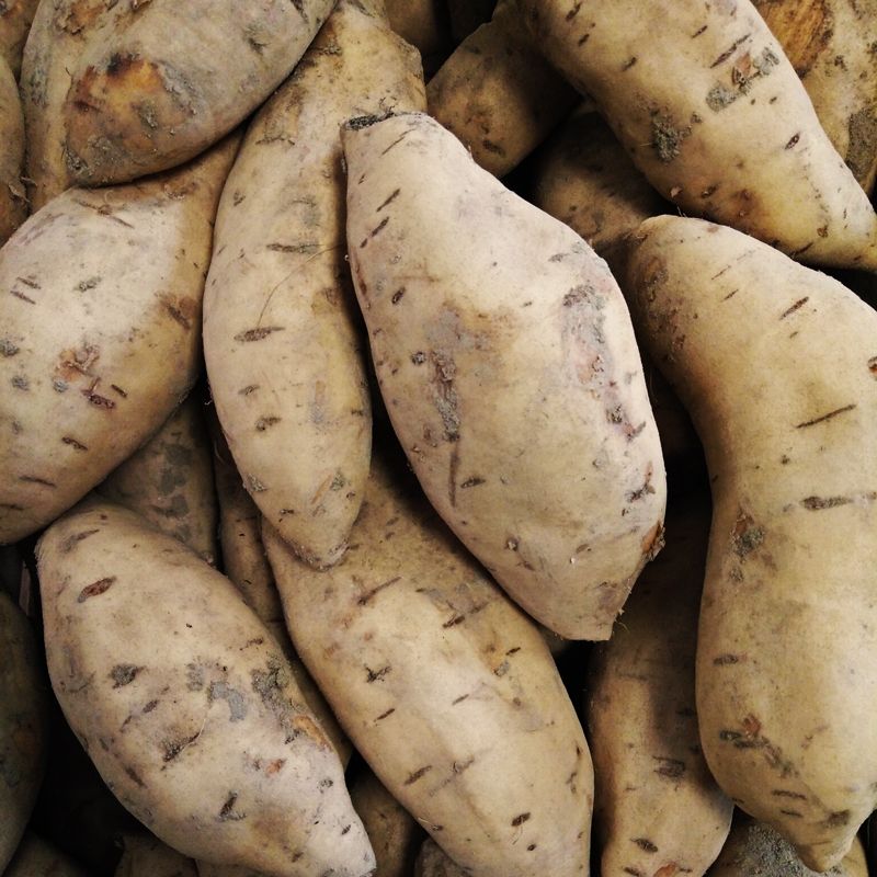 Patata Americana - 0,5 kg Patata Americana - 0,5 kg