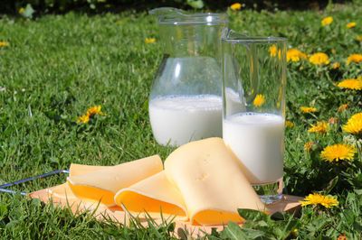 LATTE, FORMAGGI, E DERIVATI