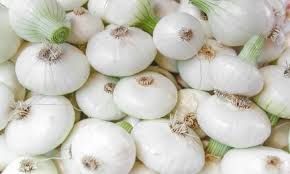 CIPOLLA FRESCA PIATTA - 0,5 kg