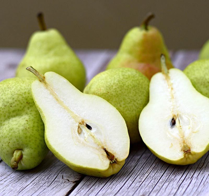 PERETTA William - 0,5 kg