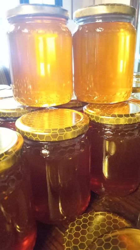 APIselva &gt; miele di Agata 🍯