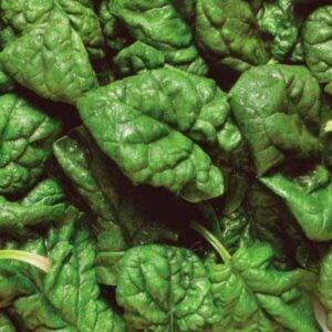 Spinaci - 0,5 kg