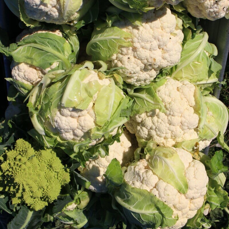 CAVOLFIORE - 0,5 kg