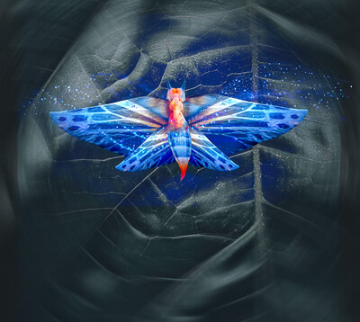 Become a Skyglow Angel Supporter (Get advanced digital access to the film) - help us impact 50,000+ youth in one year