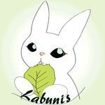 Labunis, LLC