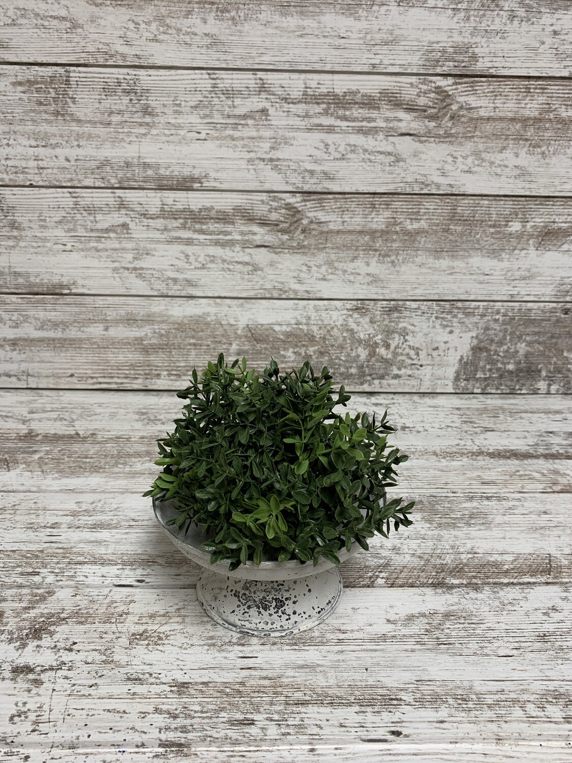 7&quot; New England Boxwood Half Sphere