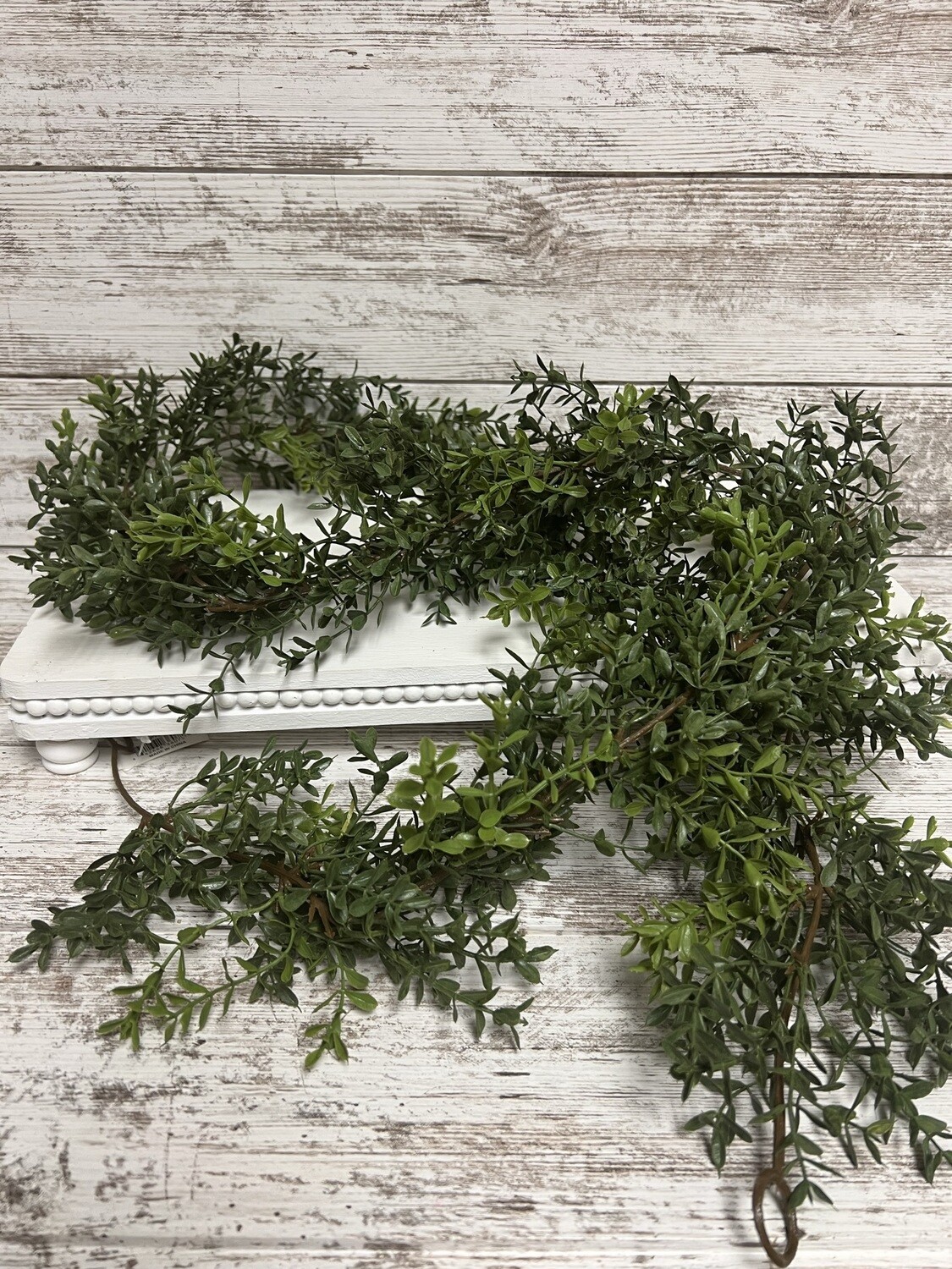 6&#39; New England Boxwood Garland