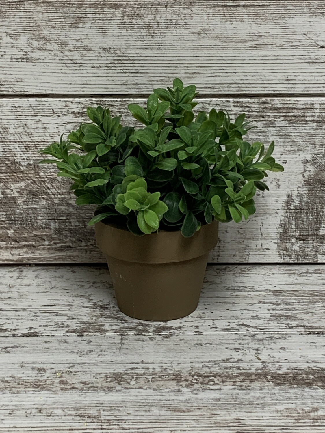 Gatehouse Herb Pot