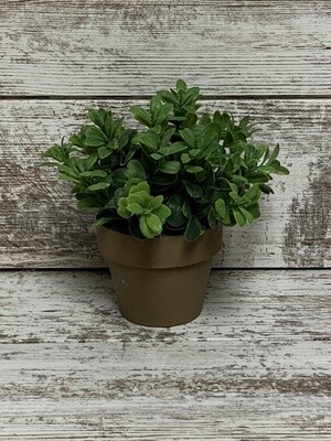 Gatehouse Herb Pot