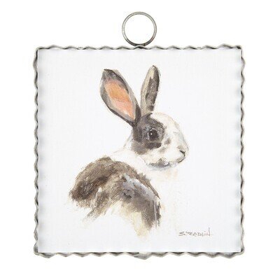 Dutch Rabbit Mini Gallery