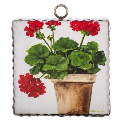 Pot Of Geraniums Mini Gallery