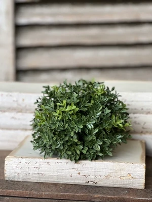 8.5&quot; New England Boxwood Half Sphere