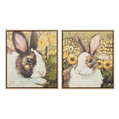 Rabbit and Sunflower Framed Prints