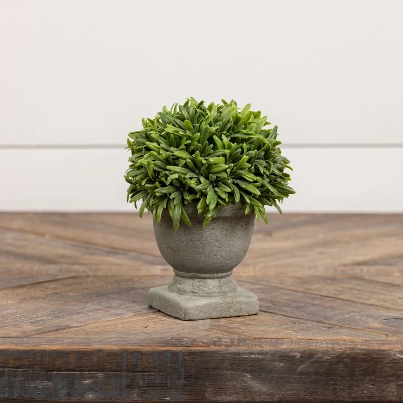 6.5&quot; Topiary Pot