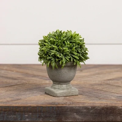 6.5&quot; Topiary Pot