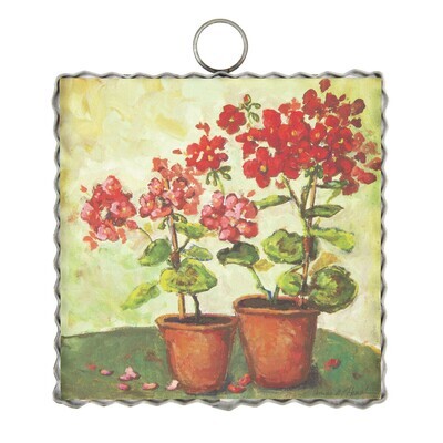 Potted Geraniums Mini Gallery