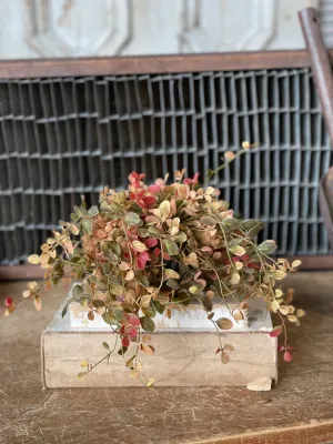 12&quot; Fall Bog Pimpernel Half Sphere