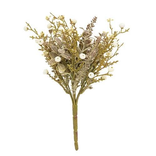 Pumpkin Berry Bush-Cream