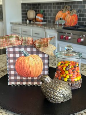 Pumpkin on Checks Mini Gallery