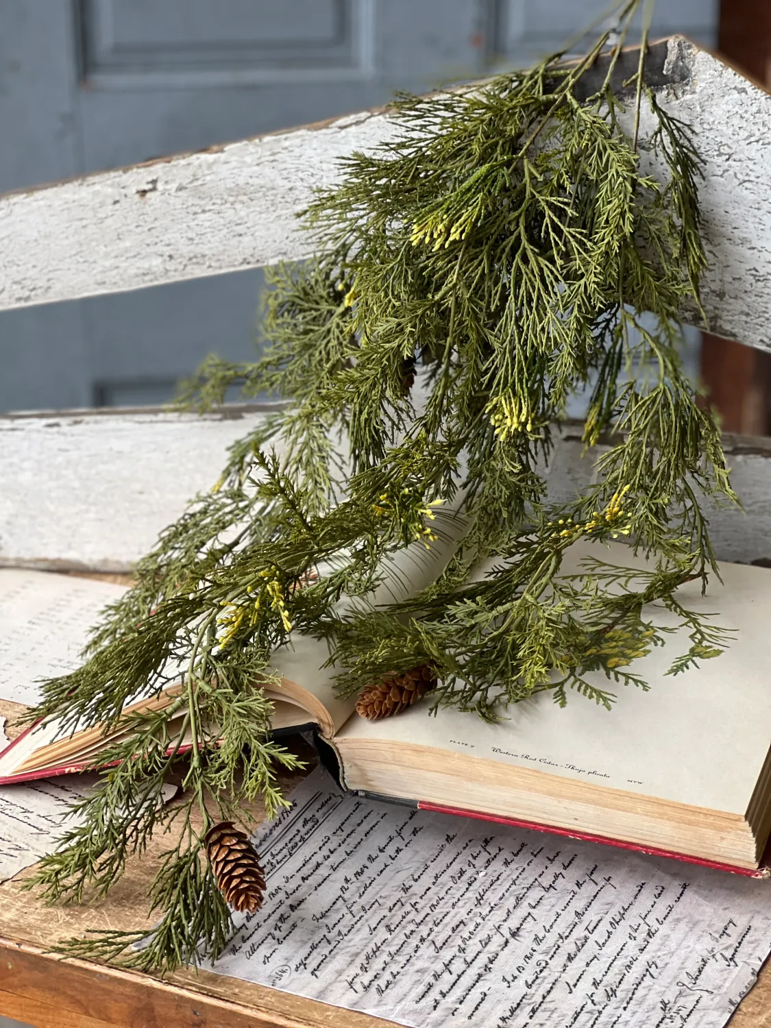34&quot; Alpine Cedar Hanging Bush