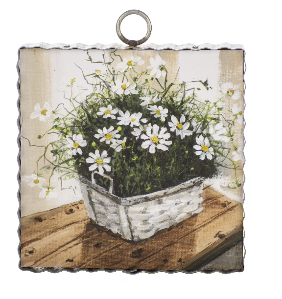 Cosmos Daisies Mini Gallery
