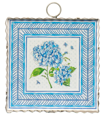 Blue Border Hydrangea Mini Gallery
