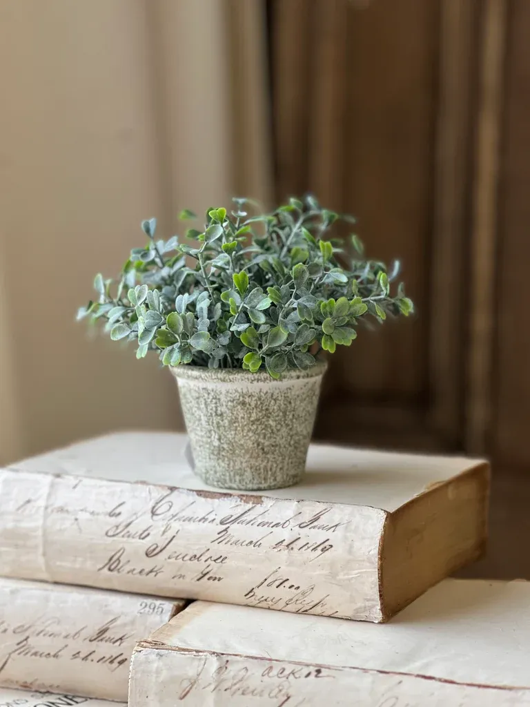 6&quot; Belmont Pot