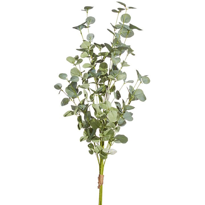 35&quot; Eucalyptus Bundle