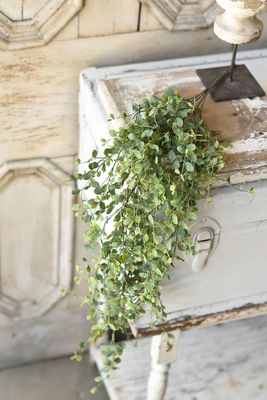 34&quot; Seraph Vine Hanging Bush