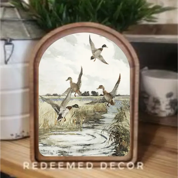 Mallard Ducks