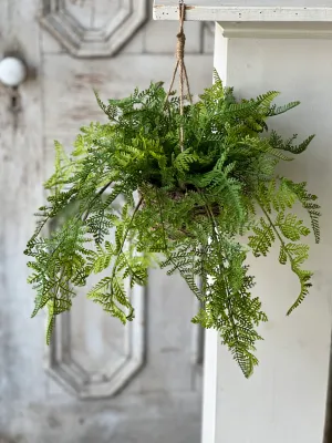 Creel Fern Hanging Baskets