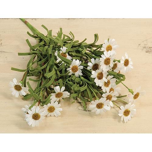 18&quot; Mini Mountain Daisy Bushes