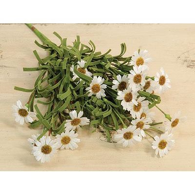 18&quot; Mini Mountain Daisy Bushes