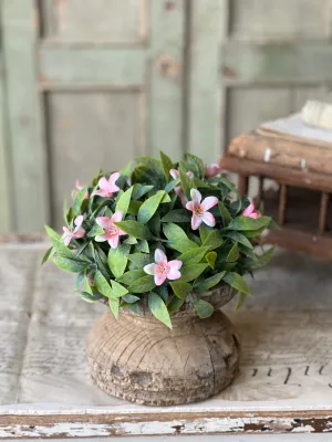 8" Bashful Blooms Half Spheres