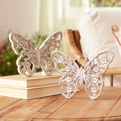 Whitewashed Butterfly