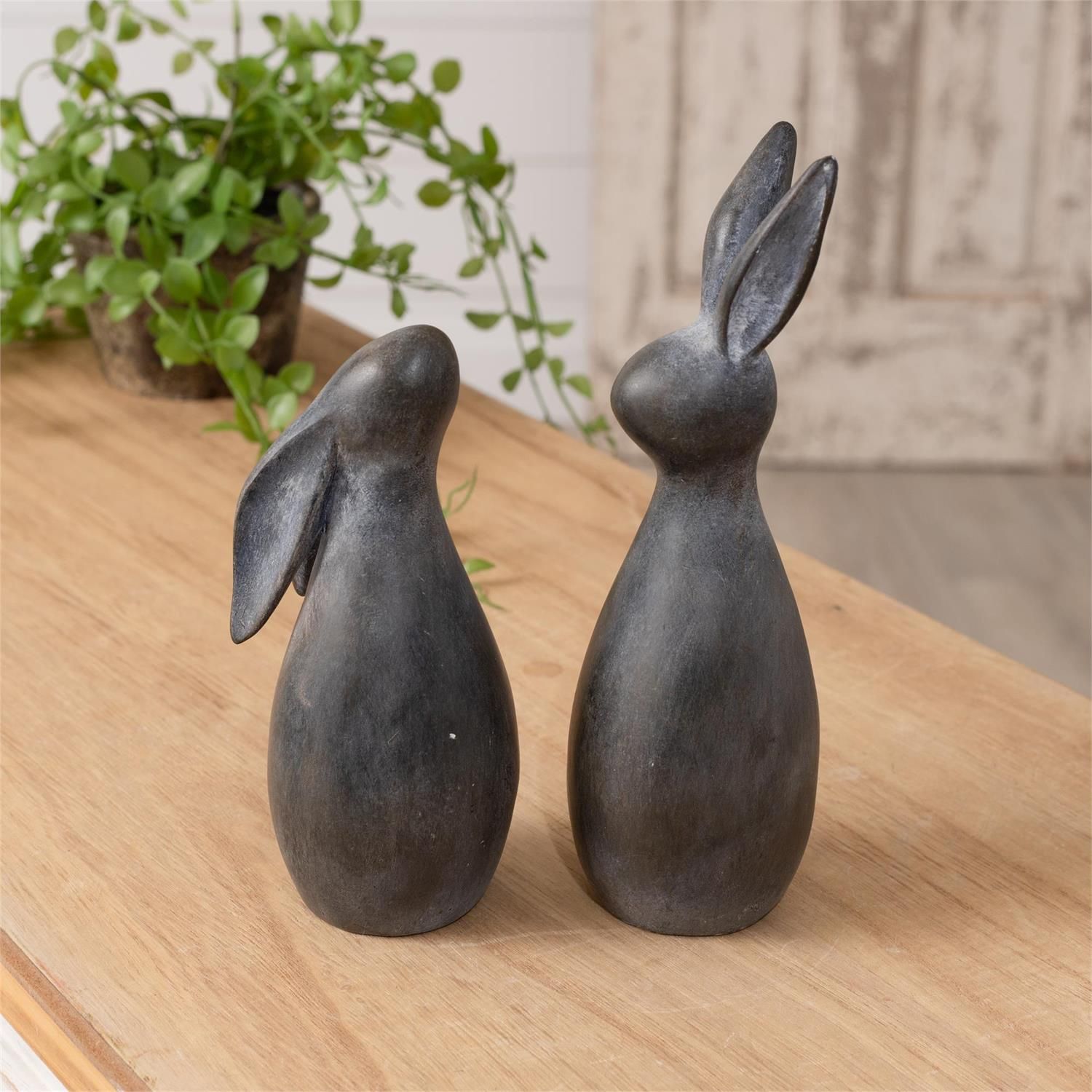 Modern Rabbits