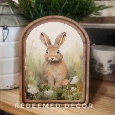 Soft Bunny