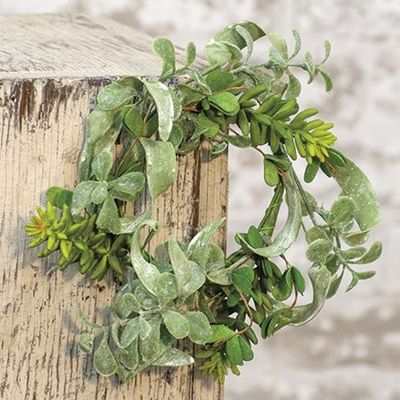 3.5&quot; Succulent Garden Ring