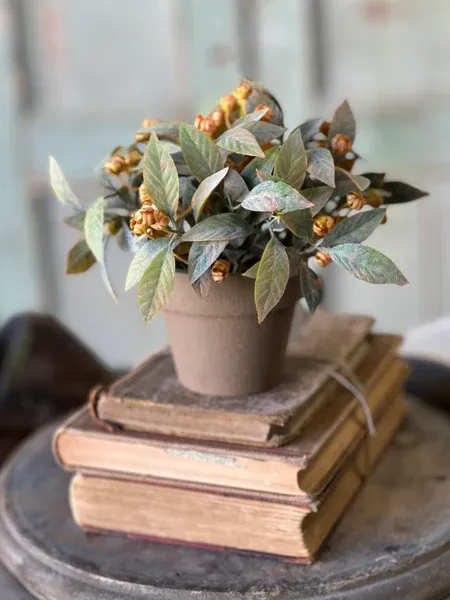6&quot; Trifle Blooms Pot