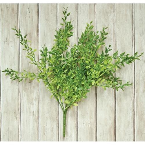 14&quot; Lemon Beauty Bush