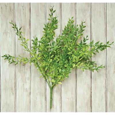 14&quot; Lemon Beauty Bush