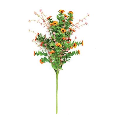 22&quot; Sunset Mini Daisy Bush