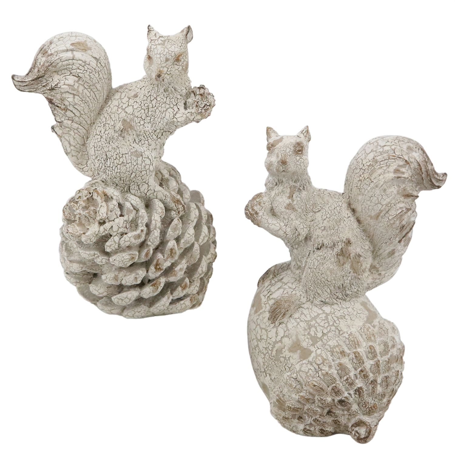Distressed Squirrels