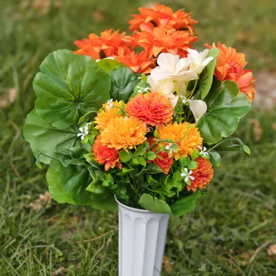 Cemetery Bush-Ivory/Orange