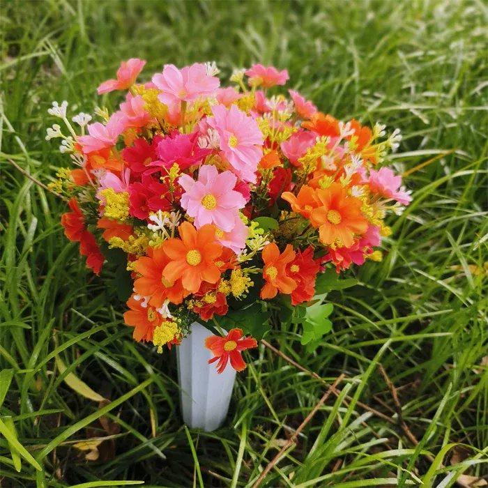 Cemetery Bush-Orange/Pink
