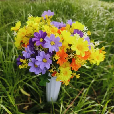 Cemetery Bush-Purple/Yellow