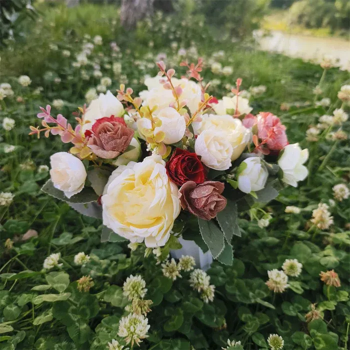 Cemetery Bush-Cream/Burgundy Mix