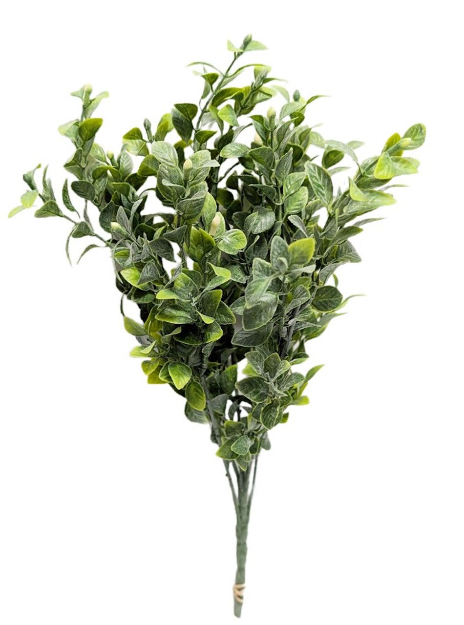 17&quot; Tea Leaf Bush